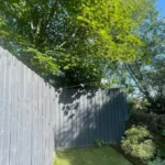 дерево над забором