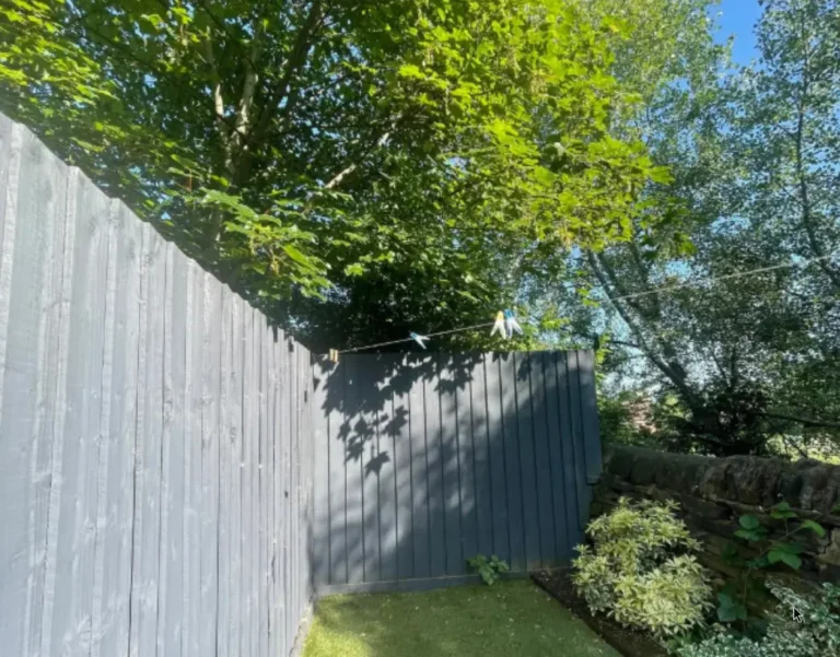 дерево над забором