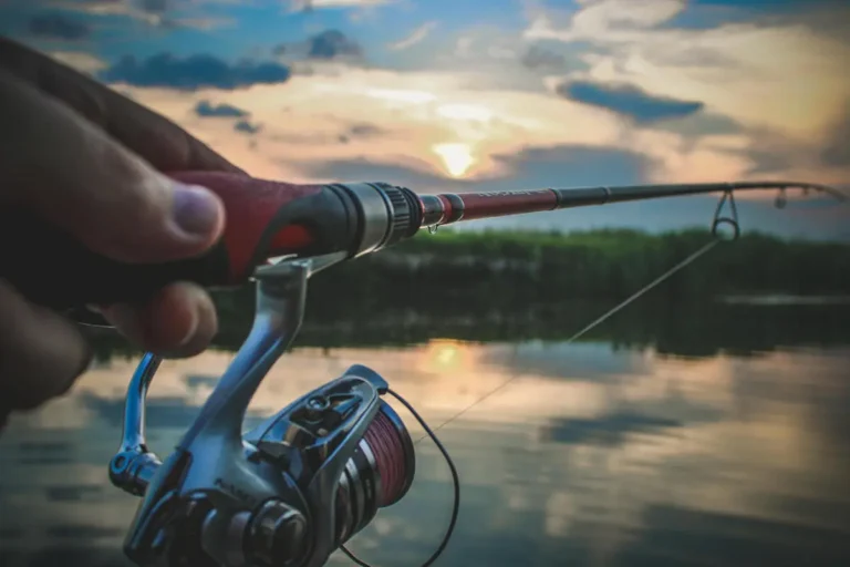 ловля на спиннинг