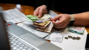 повернення субсидії