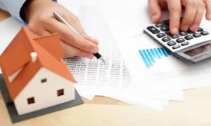 субсидия и базовая социальная помощь