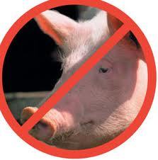 В Украину не будут ввозить российскую свинину
