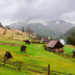село синевирська поляна