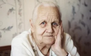 Сива пенсіонерка