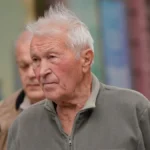 Сивий пенсіонер