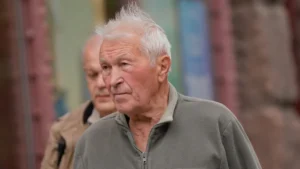 Сивий пенсіонер