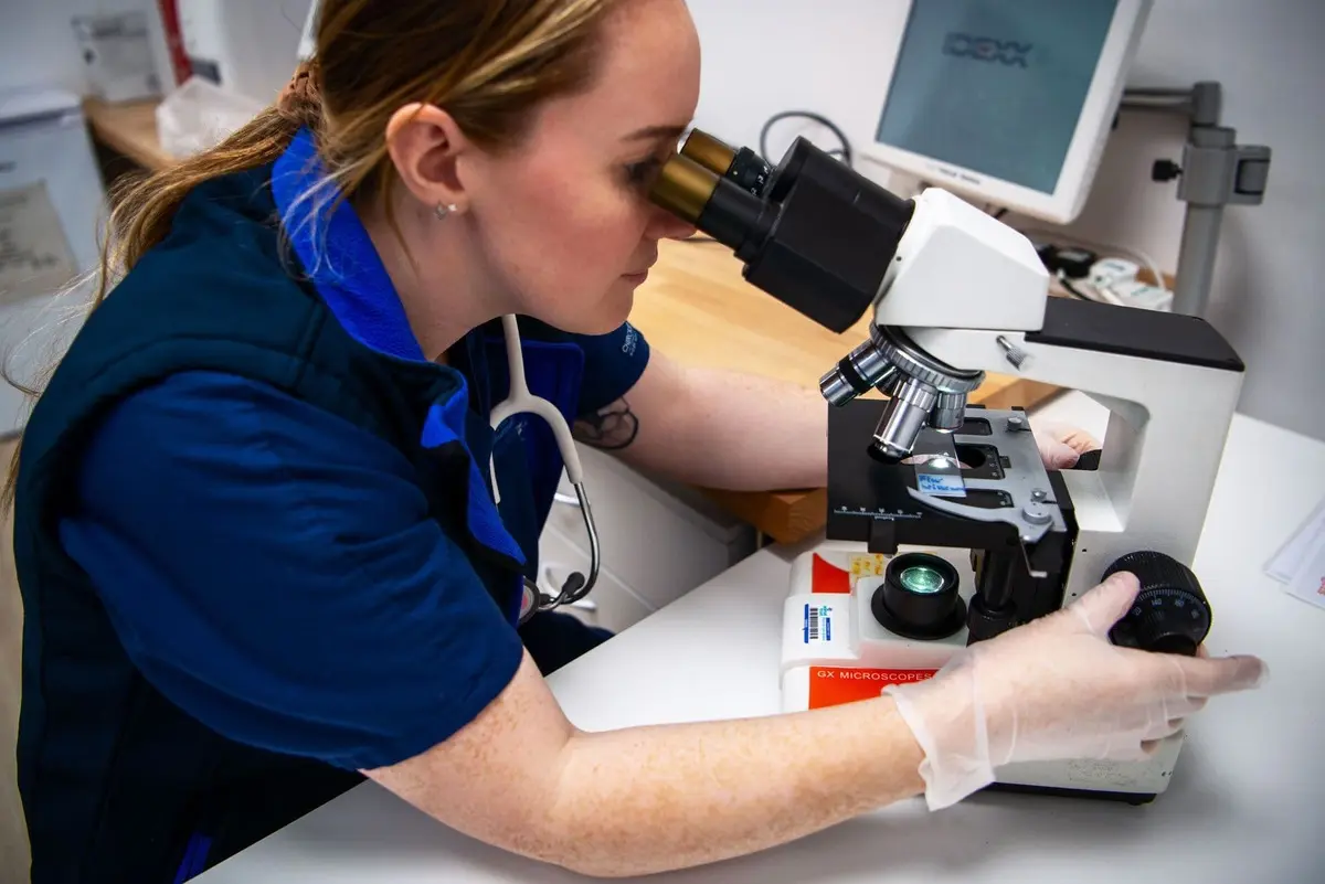 Как лечат аутоиммунные заболевания