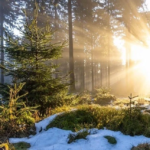 теплая зима