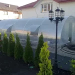 теплиця з полікарбонату