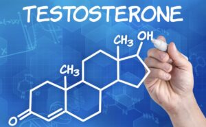 тестостерон