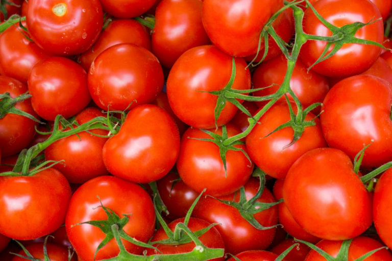 Названы страны, из которых в 2020 году импортировались томаты на украинский рынок