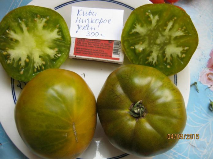 Простой способ заготовки семян томатов