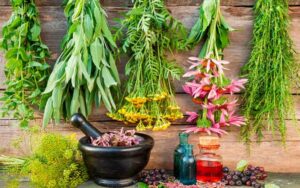 травы при колите