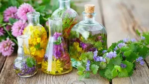 травы при брохите