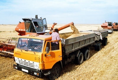 Украина будет с зерном