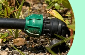 Автоматический полив