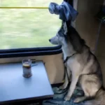 Укрзалізниця