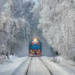 поезд едет через зимний   лес