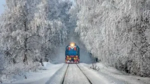 поезд едет через зимний   лес