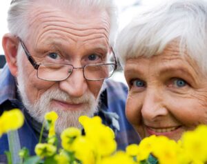 точка долголетия