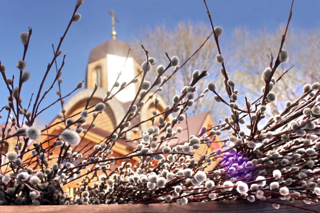 Вербна неділя