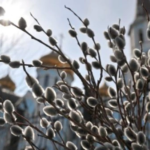 вербное воскресенье