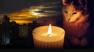 отключение света