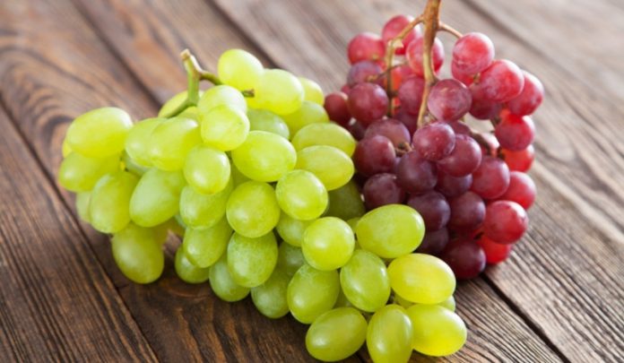 В чем секрет успешного виноградарства