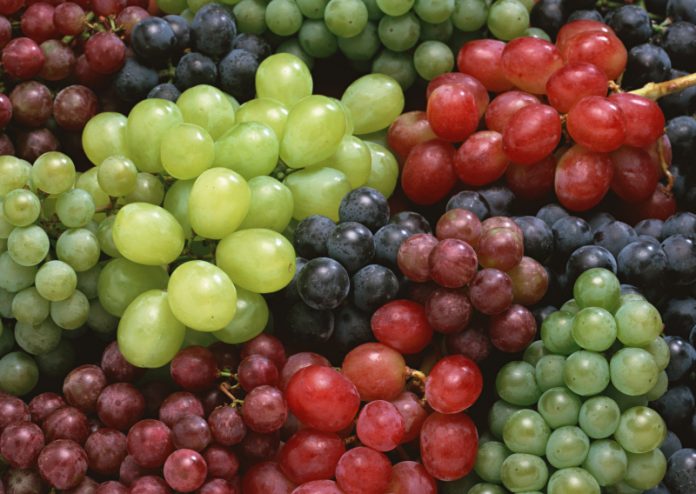 Таировский институт исследовал сорта винограда любительской селекции