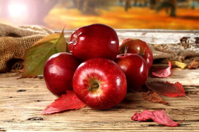 Чем опасны яблоки: медики назвали случаи, когда фрукты вредят здоровью