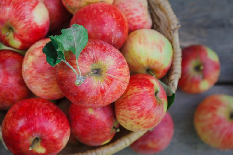 В Херсонской области прогнозируют недобор яблок и черешен