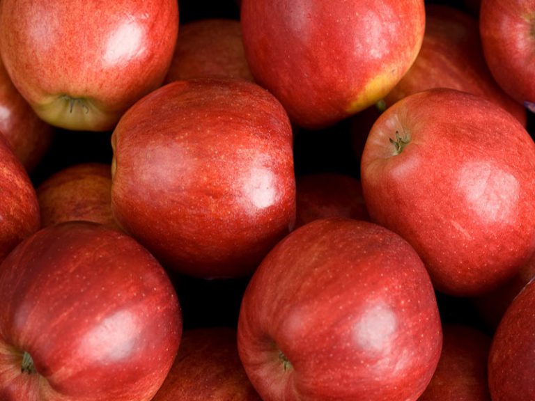 Украинские яблоки начали экспортировать в Африку