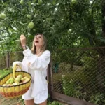 Яблока из соседского дерева