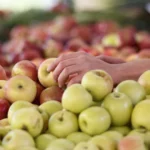 яблоки блестят: чем их обрабатывают