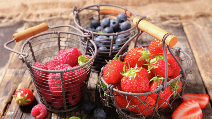 Експерти перерахували ягоди, вирощування яких приносить прибуток