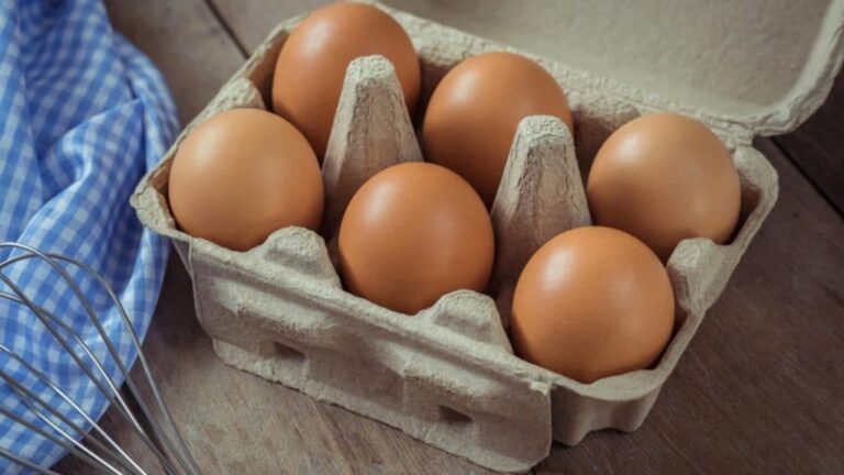Лоток яиц