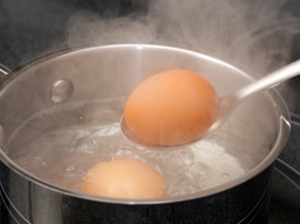 яйца варить