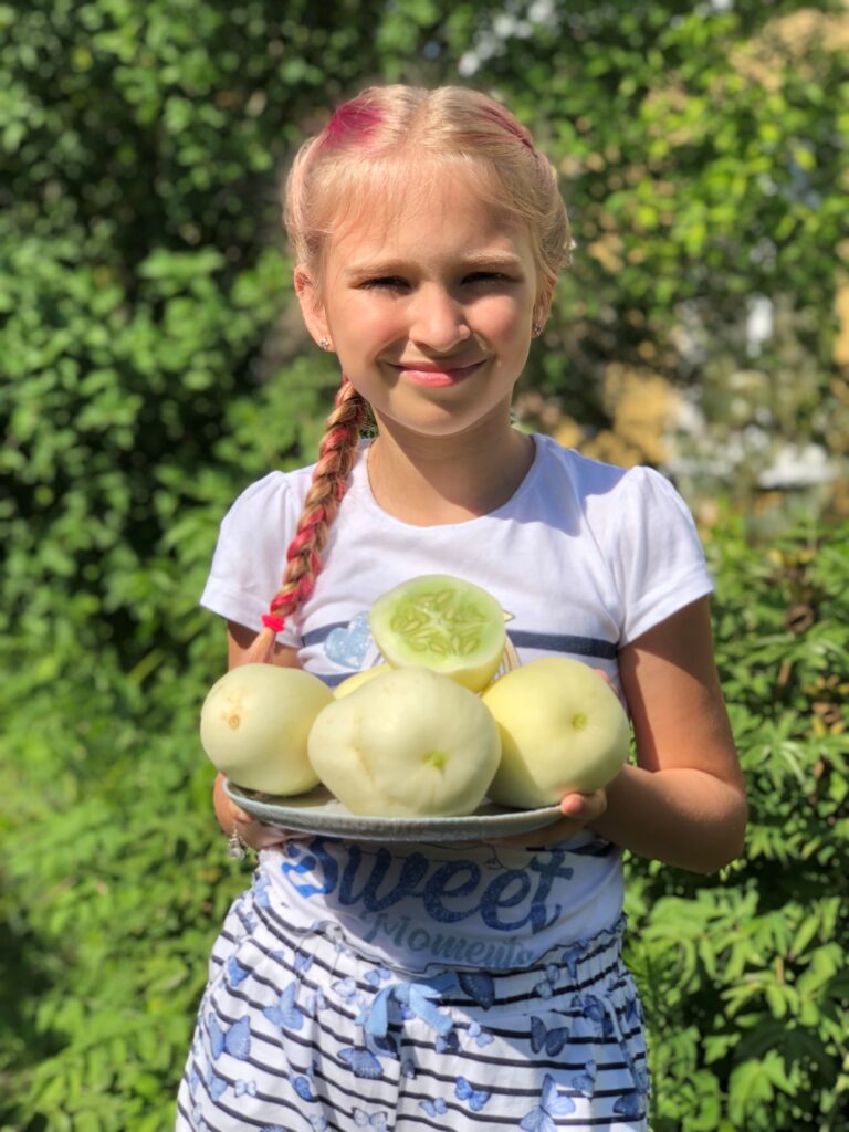 Дніпропетровський овочівник вирощує екзотичні сорти огірків