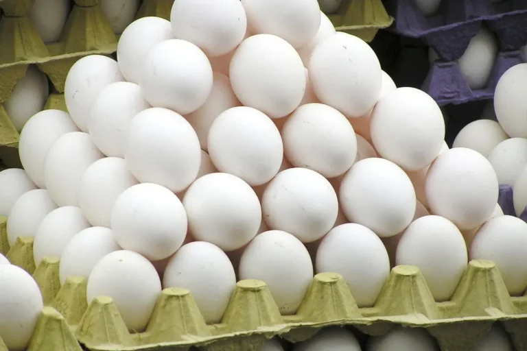 яйца