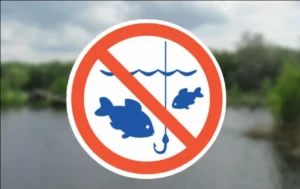 заборона на риболовлю
