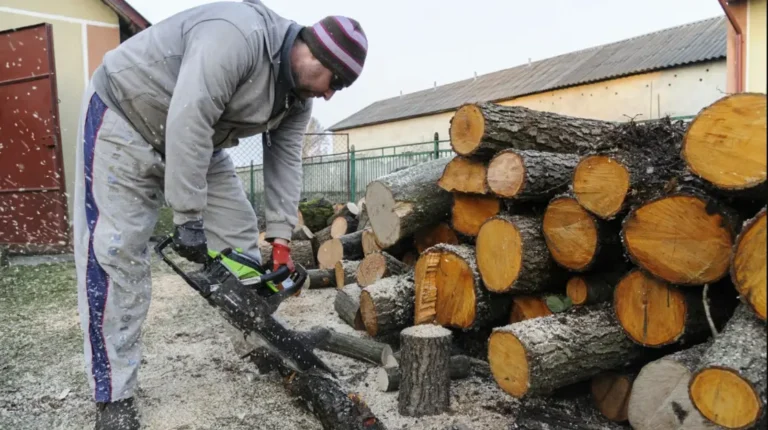 заготовка дров