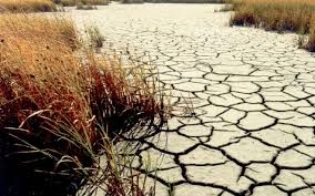 Украину ожидают аномальные засухи?