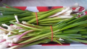 Зеленый чеснок
