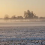 земельна ділянка