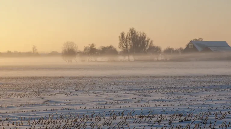земельный участок