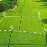 земельный участок