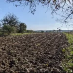 земельный участок