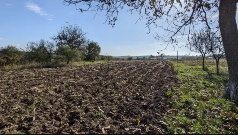 земельный участок