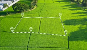 земельный участок