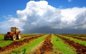 Земельные вопросы